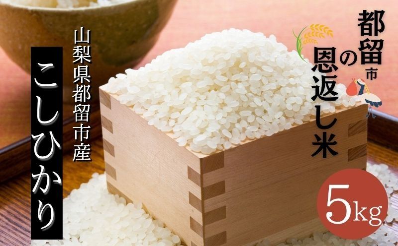 HW003[令和7年産新米]山梨県都留市産こしひかり 都留市の恩返し米5kg