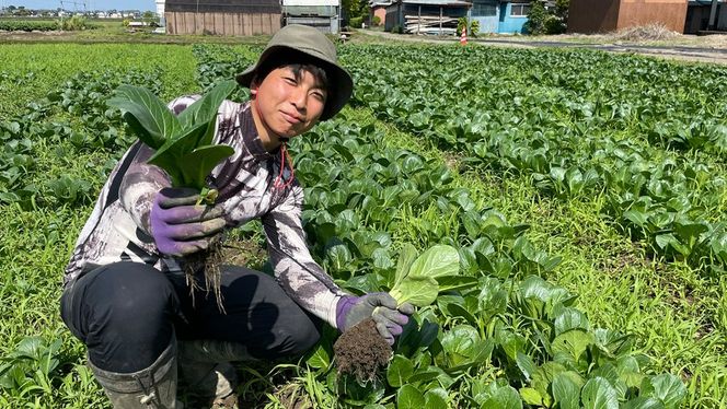 【 先行予約 】 土付き無選別 茨城県産 紅はるか 5kg 【 2024年11月より順次発送 】 さつまいも 芋 サツマイモ 甘い 焼き芋 スイートポテト ねっとり 土付き 無選別 [DX08-NT]