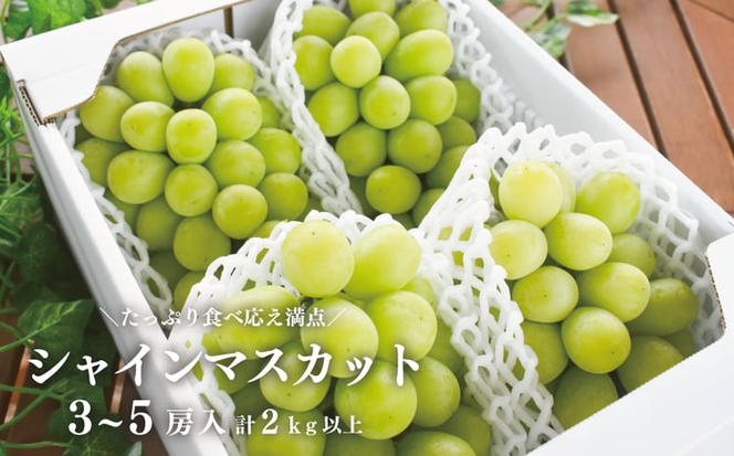 【2026年先行予約】シャインマスカット3～5房/計2kg~ 【上級品】 贈答用にもOK (岡山県真庭市産)【KF-B016-03】
