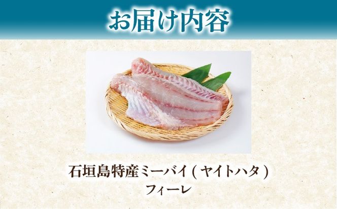 石垣島特産ミーバイ（ヤイトハタ）フィーレ KS-14