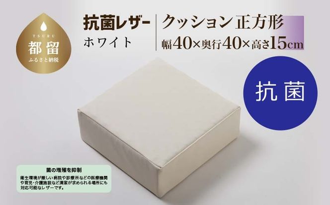 yRsszRۃU[yzCgzy`zy15cmzy{zEZ326