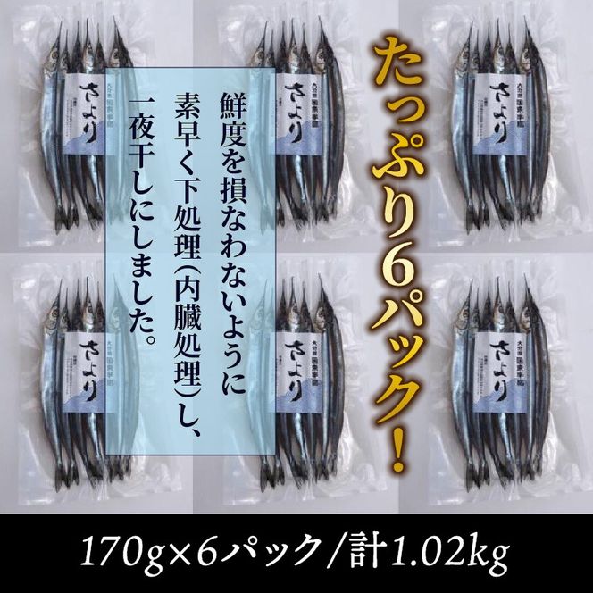 国東さよりの一夜干し/大漁1kg_1043R