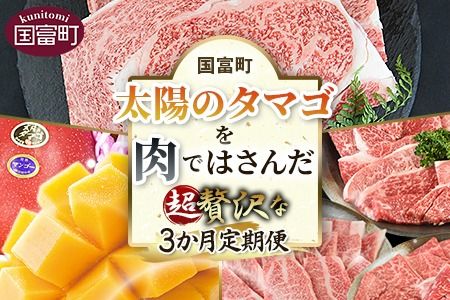 [太陽のタマゴを肉ではさんだ超贅沢な3か月定期便]2025年4月から第一回目を順次出荷[b0674_co]