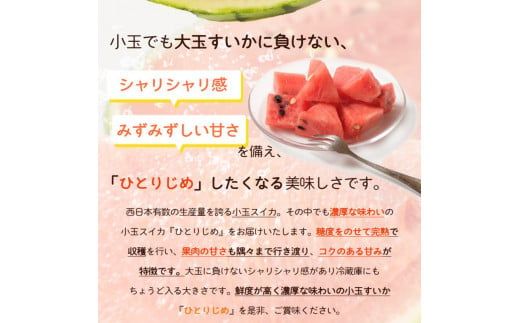 紀州和歌山産 小玉スイカ「ひとりじめ」１玉【予約】 ※2026年6月上旬頃～7月上旬頃に順次発送予定(お届け日指定不可)【uot778A】
