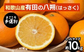 【先行予約】 有田の八朔（はっさく） 約10kg L～2L サイズ混合 和歌山県産