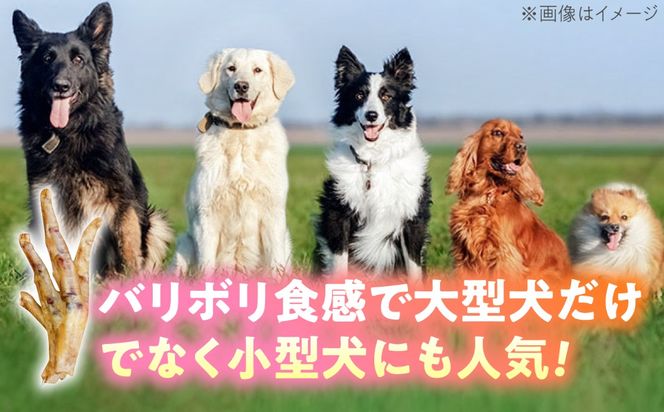 わんこのおやつ（犬）無添加手づくり 鶏のお手手（モミジ）ジャーキー6袋 糸島市 / mogmog factory[AXO003]