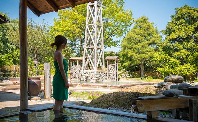 【能登半島地震復興支援】辰口温泉 たがわ龍泉閣「吉祥亭」ペアー宿泊券 旅行 チケット 