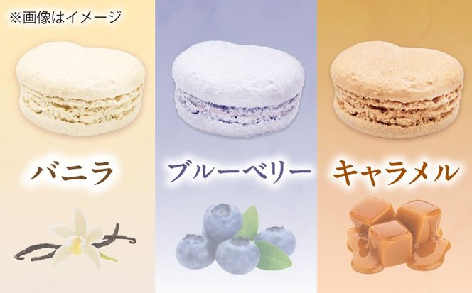 マカロン 10個入り 洋菓子 マカロン スイーツ 愛西市 / スイーツカフェハル[AEDP005]