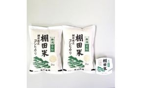 【令和7年産米】【5ヶ月定期便】新潟県村上市岩船産 棚田米コシヒカリ 4kg（2kg×2袋）+パックごはん(150g×1個) ×5ヶ月 1067144