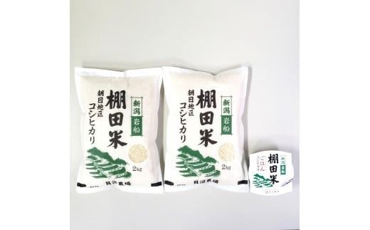 【令和7年産米】【5ヶ月定期便】新潟県村上市岩船産 棚田米コシヒカリ 4kg（2kg×2袋）+パックごはん(150g×1個) ×5ヶ月 1067144