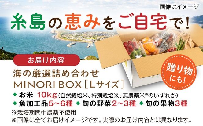 糸島産 魚 米 野菜 果物 厳選詰め合わせ MINORI BOX Lサイズ 糸島市 / emma.Inc / 米 魚 野菜 果物 詰め合わせ[AOP027]