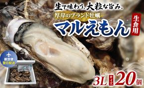 翌日配送 航空便 牡蠣 厚岸のブランド牡蠣 マルえもん 3Lサイズ 20個 生食用 魚貝類 海鮮 海のミルク 国産 生食用殻付き牡蠣 まろやか クリーミー 食べやすい品種 海の香り 牡蠣の酒蒸し 焼き牡蠣 マルえもん