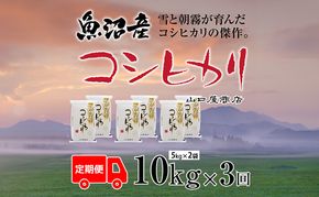 定期便 全3回 魚沼産コシヒカリ 5kg×2袋 お米 米 コメ 