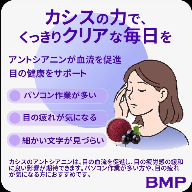 BMP カシスパウダー1kg（100g×10袋）（カシス濃縮果汁粉末）
