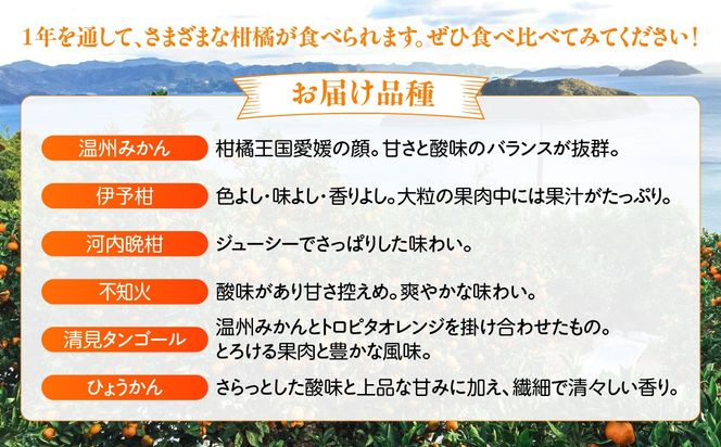 【6ヶ月定期便】田縁農園 6種みかんジュースセット 各2本セット×全6回 みかん いよかん 河内晩柑 不知火 きよみ ひょうかん IKTA051