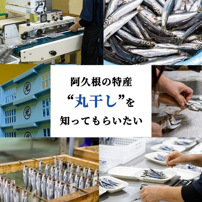 訳あり！真イワシ丸干し＜めざし＞(合計160尾以上・500g×2袋) 国産 鹿児島県産 阿久根市産 魚 魚介 水産 訳あり 訳アリ いわし 鰯 めざし マイワシ まいわし 真いわし 丸干し 丸干 チャック付き袋 【鈴木海産】akn091-02