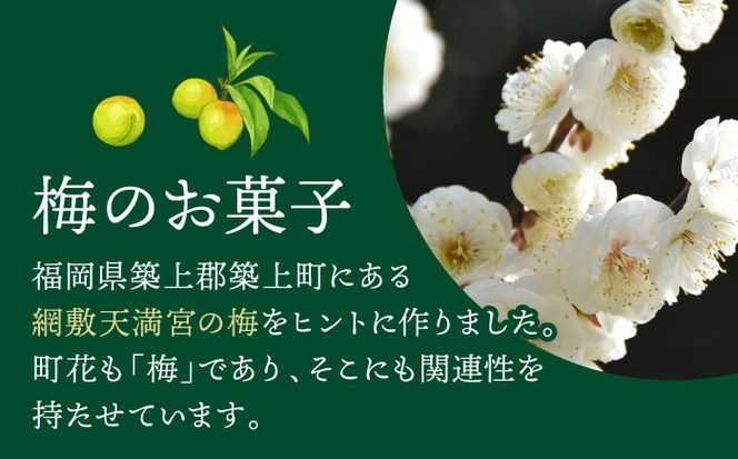 【老舗の菓子屋】築上銘菓「 梅の実 」12 個《築上町》【有限会社 御菓子司 鹿の子】[ABAC019]