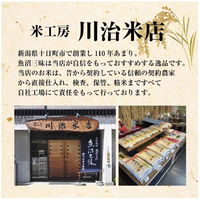 令和7年産 魚沼産 コシヒカリ 有機栽培米 5kg 米 こしひかり お米 コメ 新潟 魚沼 魚沼産 白米 送料無料 新潟県産 精米 産直 産地直送 有機栽培 お取り寄せ 魚沼三昧 川治米店 新潟県 十日町市 もちもち 