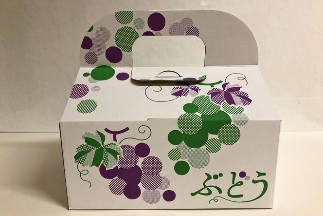 ナガノパープル2房(約1kg) ぶどう ナガノパープル フルーツ 大粒、種なし、皮ごと食べられる黒ぶどう　ナガノパープル