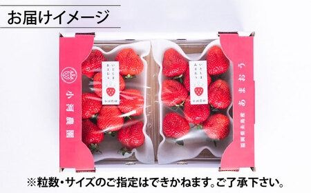 糸島産 完熟あまおう 280g×2パック (デラックスサイズ) 糸島市 / 小河農園 いちご フルーツ 果物 [AJN001]