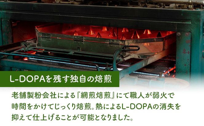野生の目覚め～焙煎ムクナ豆茶ティーバッグ～　ムクナ お茶 健康茶