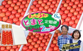 【数量限定】まっことうまい！水田さんのフルーツトマト２㎏定期便（全６回 / 簡易箱入）