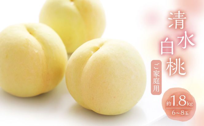 桃 2026年 数量限定 白桃 清水白桃  約1.8kg 6～8玉 ご家庭用 フルーツ 果物 岡山 赤磐市産