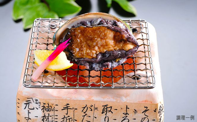 家族とすごす白浜の宿柳屋 JTB施設限定クーポン 15,000円（JTBふるさとトラベルコンシェルジュでのご予約限定） 304018_JTBHTL650602003