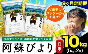 【9ヶ月定期便】阿蘇びより 白米 10kg (5kg×2袋)《お申込み翌月から出荷》 ｜国産米 人気米 熊本県産米 お米---mna_abytei_10kg_202500_mo9_h---