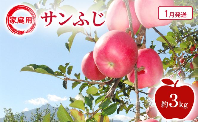 【1月発送】家庭用 サンふじ 約3kg 果物類 フルーツ 林檎 リンゴ 鶴田町 青森県 おやつ デザート