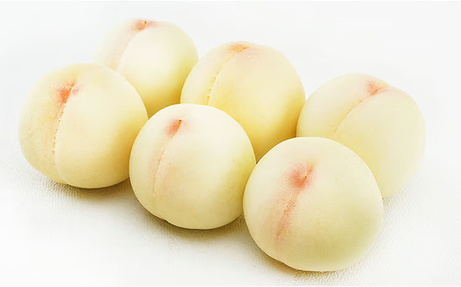 桃 2026年 先行予約 岡山 の 白桃 8玉（合計1.7kg以上）化粧箱入り もも モモ 岡山県産 国産 フルーツ 果物 ギフト デザート 上品な甘み とろける 産地直送 [№5735-1467]