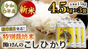 《 特別栽培米 》 令和6年産 精米日出荷 関口さんの「 こしひかり 」 4.5kg × 3袋 ( 玄米時 15kg ) 新鮮 精米 コシヒカリ 米 こめ コメ 特別栽培農産物 認定米 新米 [AM093us]