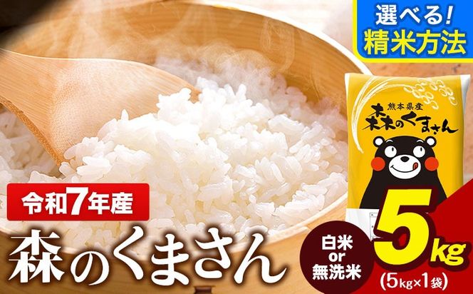 令和7年産 無洗米 も 選べる 森のくまさん 5kg × 1袋  白米 熊本県産 単一原料米 森くま《7-14日以内に出荷予定(土日祝除く)》《精米方法をお選びください》送料無料---gkt_lcl_713_5kg---