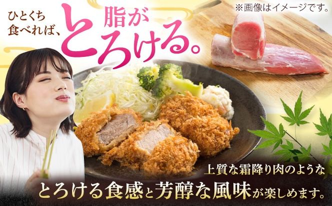 沖縄県産豚肉 ヒレ肉 3本入り (計1.5〜1.8kg) 豚 豚肉 ひれ肉 真空パック 小分け 冷凍 国産 沖縄市 / 宮城ふぁーむ[BCAJ012]