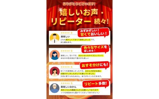 【2024年12月発送予約分】＼光センサー選別／ 【農家直送】【家庭用】こだわりの有田みかん 約4kg＋250g(傷み補償分)  先行予約 有機質肥料100% サイズ混合 【12月発送】みかん ミカン 有田みかん 温州みかん 柑橘 有田 和歌山 ※北海道・沖縄・離島配送不可/みかん ミカン 有田みかん 温州みかん 柑橘 有田 和歌山 産地直送【nuk148-2A】