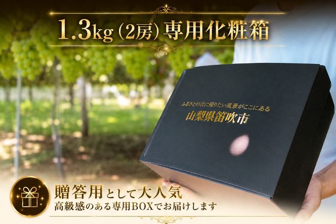 【2026年発送★先行予約】フルーツ王国笛吹市のシャインマスカット2房1.3kg クール便配送 137-001-26y