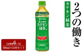 【定期便6ヶ月】2つの働きカテキン緑茶500ml×24本セット【特定保健用食品】 222232_AT073