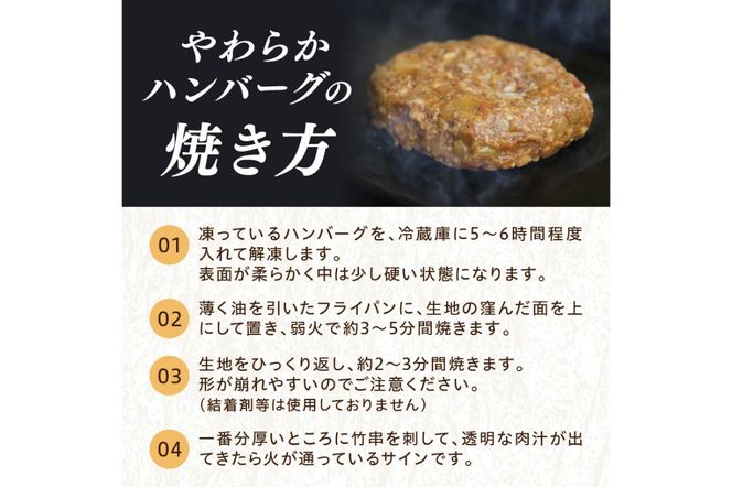 【年末（12月27日～30日）配送】塩で食べるやわらかハンバーグ（デミグラスソース付） NH00042_12e