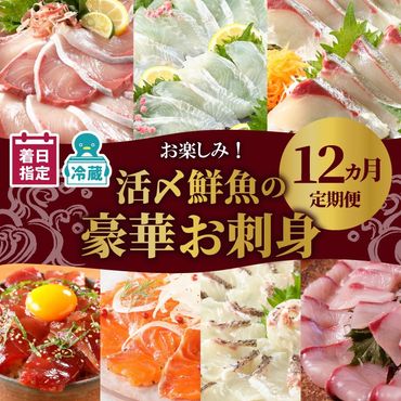 【お楽しみ定期便】延岡産活〆鮮魚の豪華お刺身（12ヶ月定期便）　N019-ZG0104　請関水産