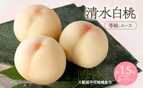 桃 2027年 先行予約 清水 白桃 等級 エース 約1.5kg 5～7玉入りもも モモ 岡山 国産 フルーツ 果物 桃茂実苑