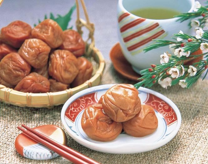 紀州南高梅　はちみつ漬け5Kg　T134