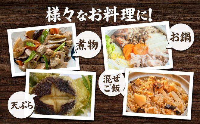 「訳あり」生しいたけ　200g×3袋(サイズ混合)　【配送不可地域あり】 離島配送不可 《30日以内に出荷予定(土日祝除く)》 ---sanagouchi_izs_15_3p---