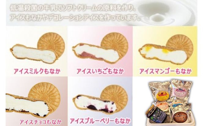 ＜自家製アイスクリームとブルーベリージャムのセット＞2か月以内に順次出荷【c593_sn_x3】 アイス ジャム セット ブルーベリー