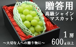 【令和７年度先行予約】贈答用！希少価値の高い高級シャインマスカット（１房 ６００ｇ以上）　シャイン シャインマスカット マスカット 葡萄 ぶどう ブドウ 果物 くだもの フルーツ 山梨 やまなし 富士川町 ギフト プレゼント 贈り物