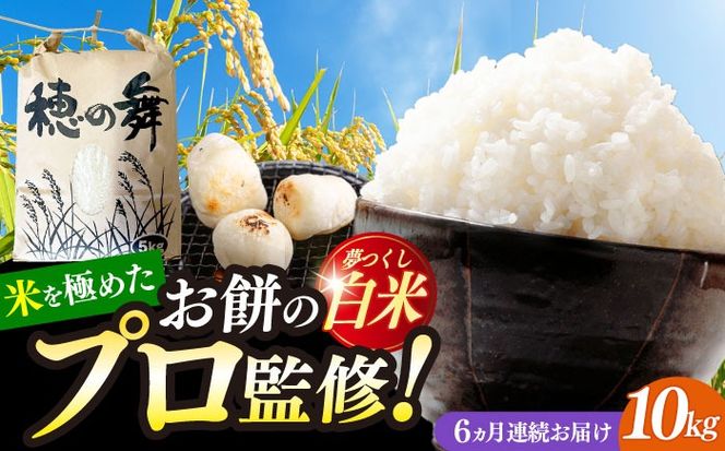 【6回定期便】令和7年度産 精米 夢つくし 10kg /築上町【アルク農業サービス合同会社】 米 こめ 白米[ABAB012]