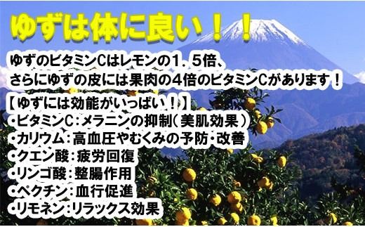ゆず胡椒（２本）＆ゆずポン酢（１本）セット　ゆず胡椒 ゆずこしょう 柚子胡椒 柚子こしょう 柚子ポン酢 ゆずポン 柚子ポン 柚子 ゆず  山梨 やまなし 富士川町 日出づる里活性化組合 10000円 一万円