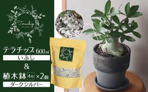 三河焼 植木鉢 ダークシルバー【テラチップいぶし】プランター お手軽 植物栽培セット 園芸 粘土 鉢 植物 土 シルバー 銀 H188-005