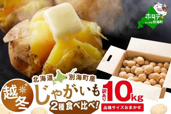 ykCʊCz2026N3`4 kCʊCY z~Ⴊ10kg(Q킨܂) yJV0000004z iAZVAj݁A[NC[Abh[j