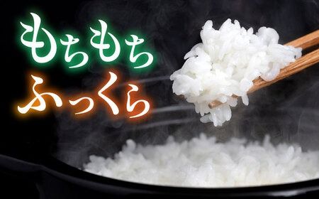 ＼令和6年産新米／糸島産 ミルキークイーン 6kg（3kg×2袋） 糸島市 / 平山農園 米 白米 [AXN002]