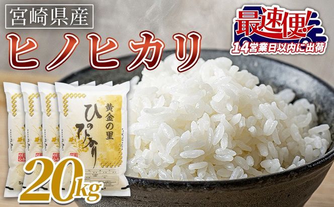 ＜宮崎県産米 ヒノヒカリ 20kg＞ 入金確認後、14営業日以内に順次出荷【 コメ 米 お米 白米 ご飯 飯 炊き立て こめ ひのひかり 宮崎県 県産 粒 お茶碗 炊き込みご飯 おにぎり 主食 】【b0922_su_x3】